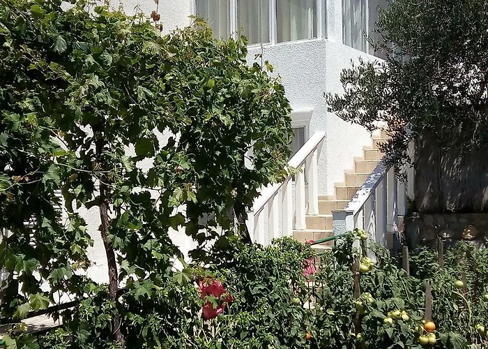 Apartmani Mileta Apartman